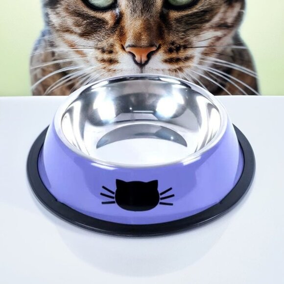 Set of 2 Stainless Steel Cat Bowls – Non-Slip, Durable & Easy to Clean Food Dish - Picture 8 of 11